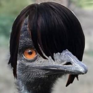 Meet your Posher, Zoe